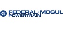 Federal Mogul Powertrain